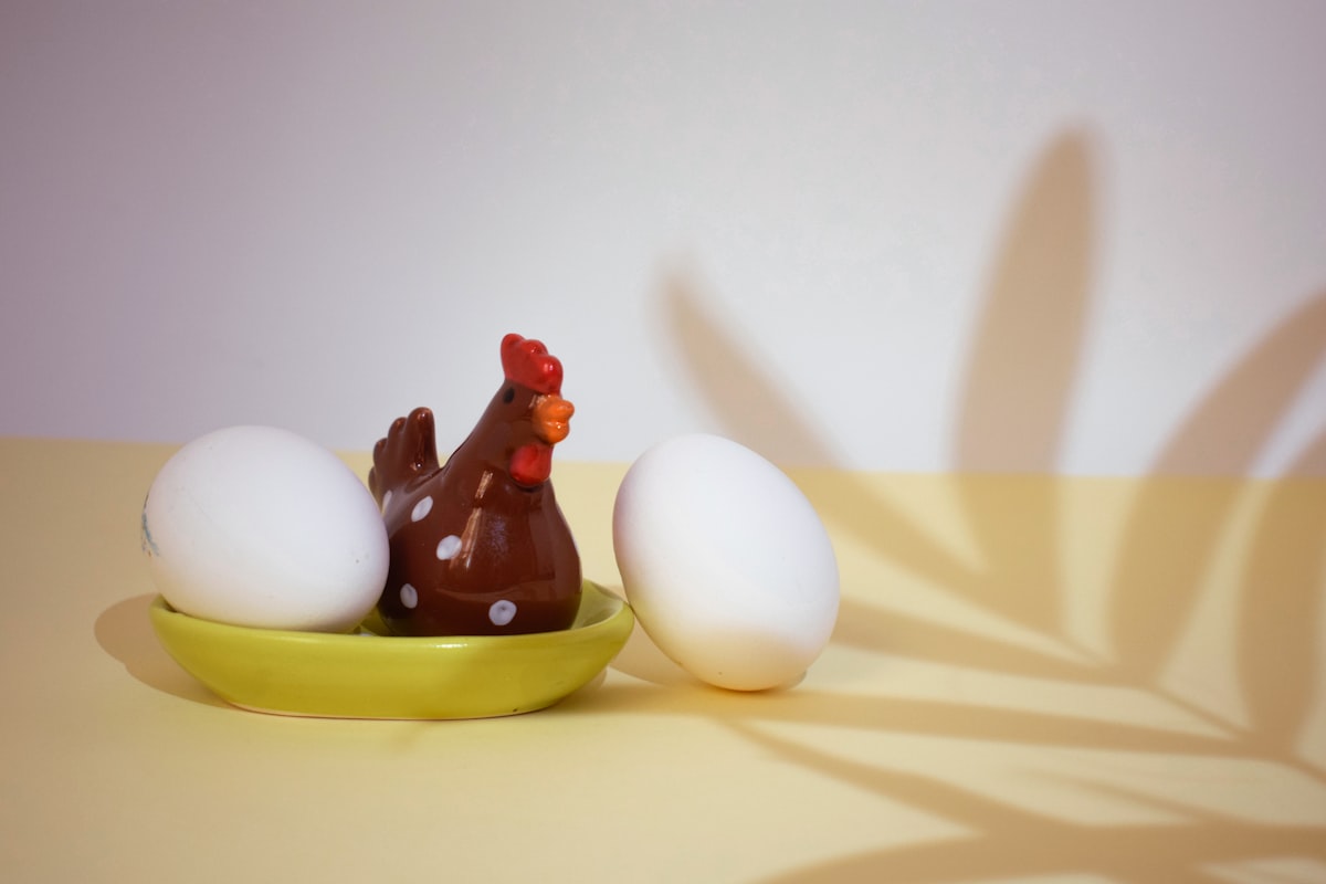 Protein-rich food sources including eggs, fish, legumes, and dairy products